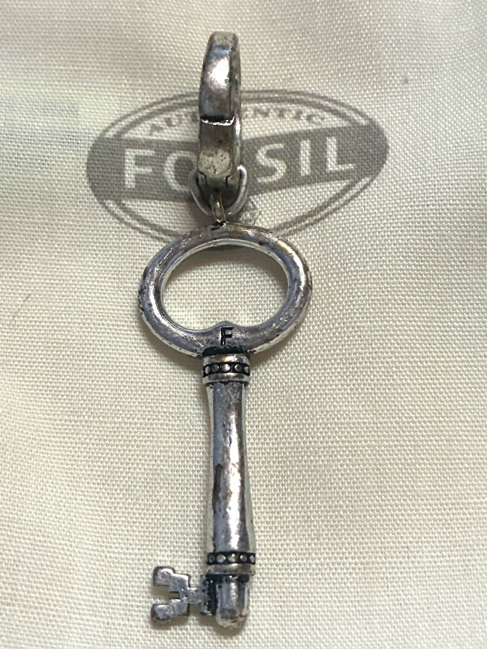 Fossil Charm